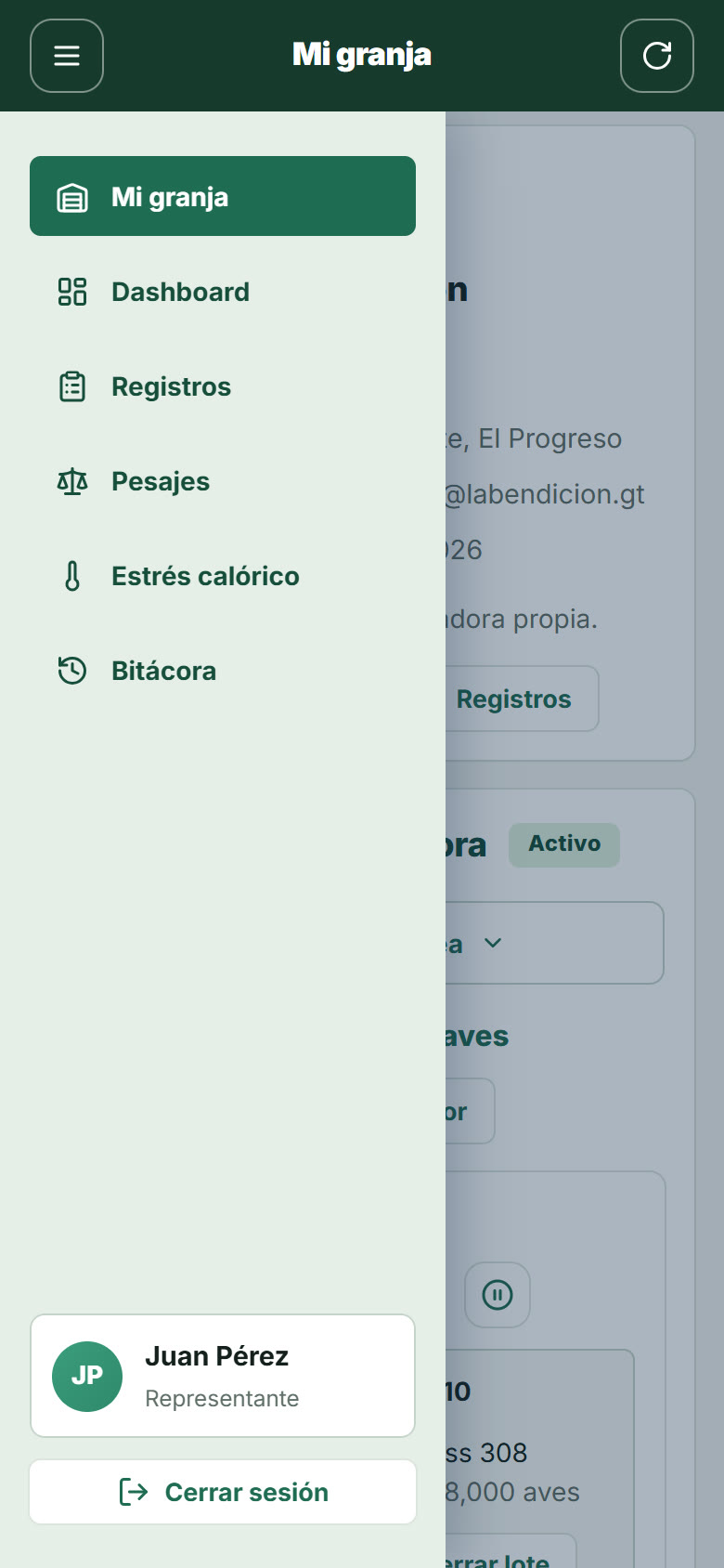 Menú abierto en el celular